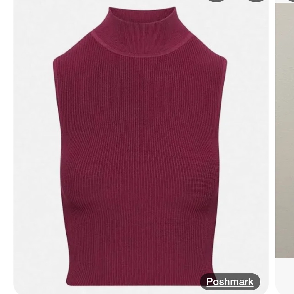 Babaton Ribbed Knit Top in Burgundy